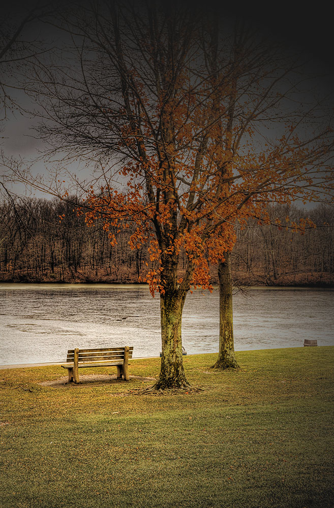 The Bench